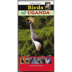 A Picture Guide -Birds of Uganda