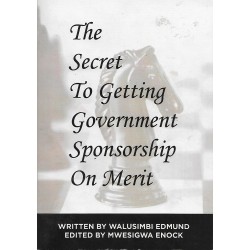 The Secret To Getting Government Sponsorship On Merit